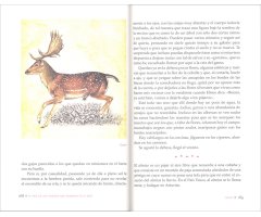 EL PAÍS DE LOS PÁJAROS QUE DUERMEN EN EL AIRE 3