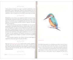 EL PAÍS DE LOS PÁJAROS QUE DUERMEN EN EL AIRE 4