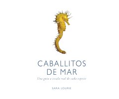 CABALLITOS DE MAR. UNA GUÍA A ESCALA REAL DE CADA ESPECIE