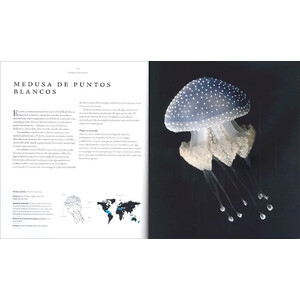 MEDUSAS. UNA HISTORIA NATURAL 3