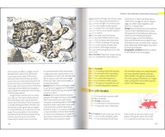 SNAKES OF EUROPE, NORTH AFRICA AND THE MIDDLE EAST 3