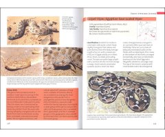 SNAKES OF EUROPE, NORTH AFRICA AND THE MIDDLE EAST 4