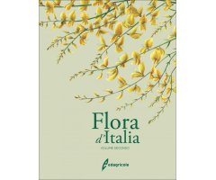 FLORA D'ITALIA VOLUME SECONDO