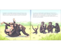 BONGO. PETITA HISTÒRIA D'UN XIMPANZÉ 3