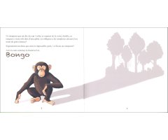 BONGO. PETITA HISTÒRIA D'UN XIMPANZÉ 4