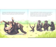 BONGO. PEQUEÑA HISTORIA DE UN CHIMPANCÉ 3