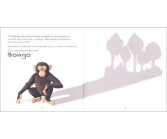 BONGO. PEQUEÑA HISTORIA DE UN CHIMPANCÉ 4