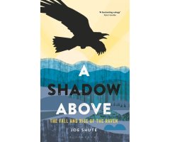 A SHADOW ABOVE. THE FALL AND RISE OF THE RAVEN