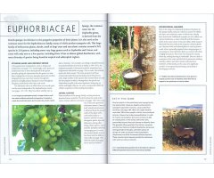 PLANTS THAT KILL. A NATURAL HISTORY OF THE WORLD'S MOST POISONOUS PLANTS 3