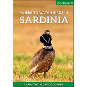 WHERE TO WATCH BIRDS IN SARDINIA