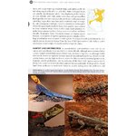 FIELD GUIDE TO EAST AFRICAN REPTILES_1