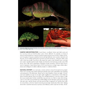 FIELD GUIDE TO EAST AFRICAN REPTILES 4