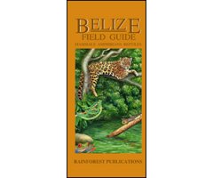BELIZE WILDLIFE GUIDE. MAMMALS, AMPHIBIANS, REPTILES