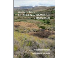 IDENTIFICATION GUIDE TO GRASSES AND BAMBOOS IN MADAGASCAR
