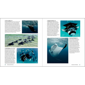 GUIDE TO THE MANTA & DEVIL RAYS OF THE WORLD_1