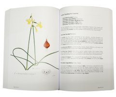A SURVEY OF THE GENUS NARCISSUS_1