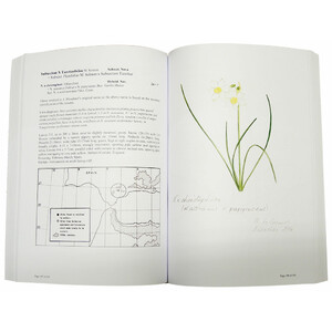 A SURVEY OF THE GENUS NARCISSUS 3