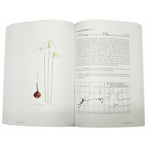 A SURVEY OF THE GENUS NARCISSUS 4