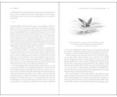 FAR FROM LAND. THE MYSTERIOUS LIVES OF SEABIRDS 3