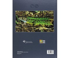 HERPETOFAUNA DEL TERRITORIO HISTÓRICO DE ÁLAVA 2