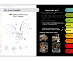 FIELD GUIDE TO THE BATS OF THE AMAZON. 2ND ED. 2