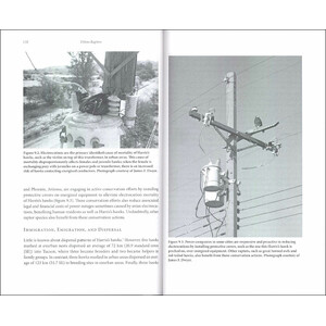 URBAN RAPTORS. ECOLOGY AND CONSERVATION OF BIRDS OF PREY IN CITIES_1