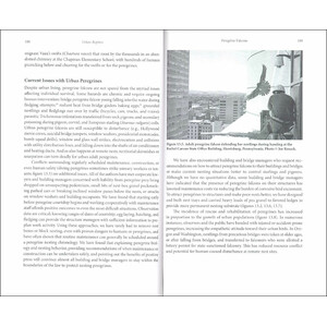 URBAN RAPTORS. ECOLOGY AND CONSERVATION OF BIRDS OF PREY IN CITIES 3