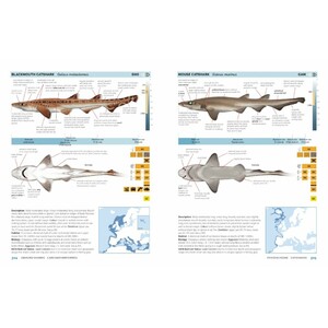 FIELD GUIDE TO SHARKS, RAYS AND CHIMAERAS OF EUROPE AND THE MEDITERRANEAN 4