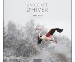 UN CONTE D'HIVER