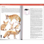 CANIDS OF THE WORLD. WOLVES, WIL DOGS, FOXES, JACKALS, COYOTES, AND THEIR RELATIVES 4