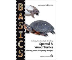 ECOLOGY, HUSBANDRY & BREEDING. SPOTTED & WOOD TURTLES (CLEMMYS GUTTATA & GLYPTEMYS INSCULPTA)