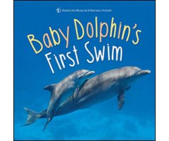 BABY DOLPHIN'S FIRST SWIM