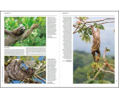 HANDBOOK OF THE MAMMALS OF THE WORLD. VOL. 8 INSECTIVORES, SLOTHS AND COLUGOS_1