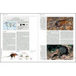 HANDBOOK OF THE MAMMALS OF THE WORLD. VOL. 8 INSECTIVORES, SLOTHS AND COLUGOS 3