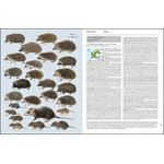 HANDBOOK OF THE MAMMALS OF THE WORLD. VOL. 8 INSECTIVORES, SLOTHS AND COLUGOS 4