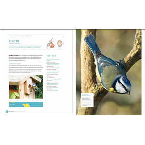 NESTBOXES: YOUR COMPLETE GUIDE 3