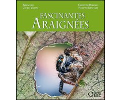 FASCINANTES ARAIGNÉES          