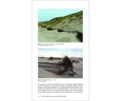 GUIDE DE GESTION DES DUNES ET DES PLAGES ASSOCIÉES 5