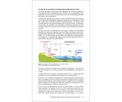 GUIDE DE GESTION DES DUNES ET DES PLAGES ASSOCIÉES 7