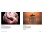 OUTDOOR PHOTOGRAPHER OF THE YEAR. PORTFOLIO III 3