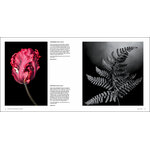 OUTDOOR PHOTOGRAPHER OF THE YEAR. PORTFOLIO III 4