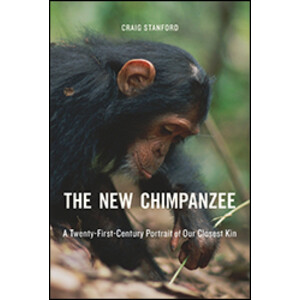 THE NEW CHIMPANZEE