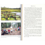 THE PLANT MESSIAH: ADVENTURES IN SEARCH OF THE WORLD'S RAREST SPECIES 3