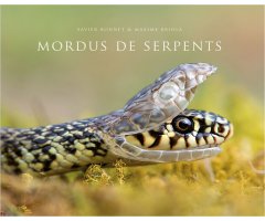 MORDUS DE SERPENTS