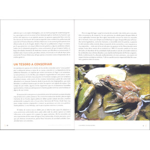 LA RANA PIRENAICA: UNA RELIQUIA DEL PIRINEO 3