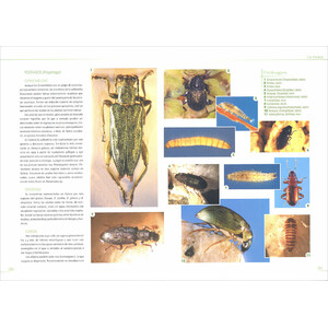 MACROINVERTEBRADOS DE LAS AGUAS DULCES DE GALICIA 3