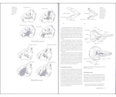 MAMMALOGY TECHNIQUES LAB MANUAL 2
