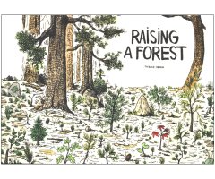 RAISING A FOREST