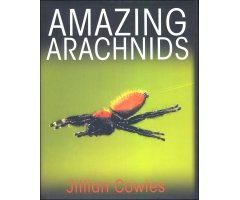 AMAZING ARACHNIDS             