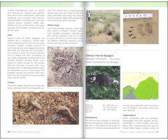 FIELD GUIDE TO THE WILDLIFE OF SOUTHWEST CHINA 3
